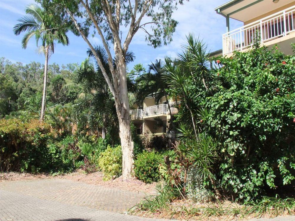 Turtle Cove Beach Resort - Adults Only Lgbtqia & Allies Wangetti Exteriér fotografie