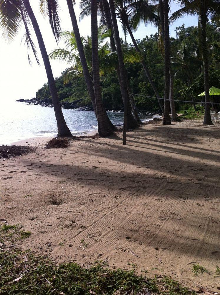 Turtle Cove Beach Resort - Adults Only Lgbtqia & Allies Wangetti Exteriér fotografie